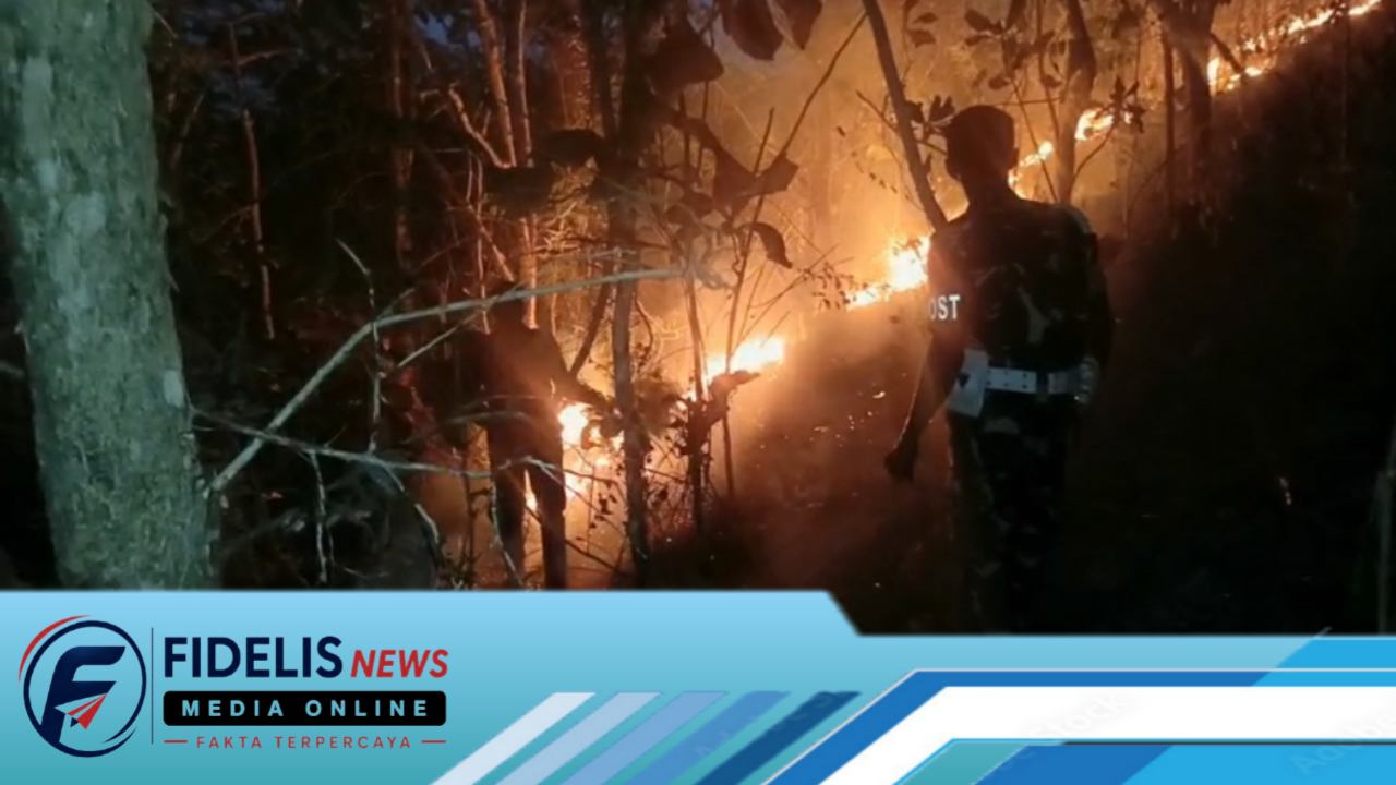 Desa Beorangin Kebakaran Lahan, Damkar dan Satgas Karhutla Terkendala Medan