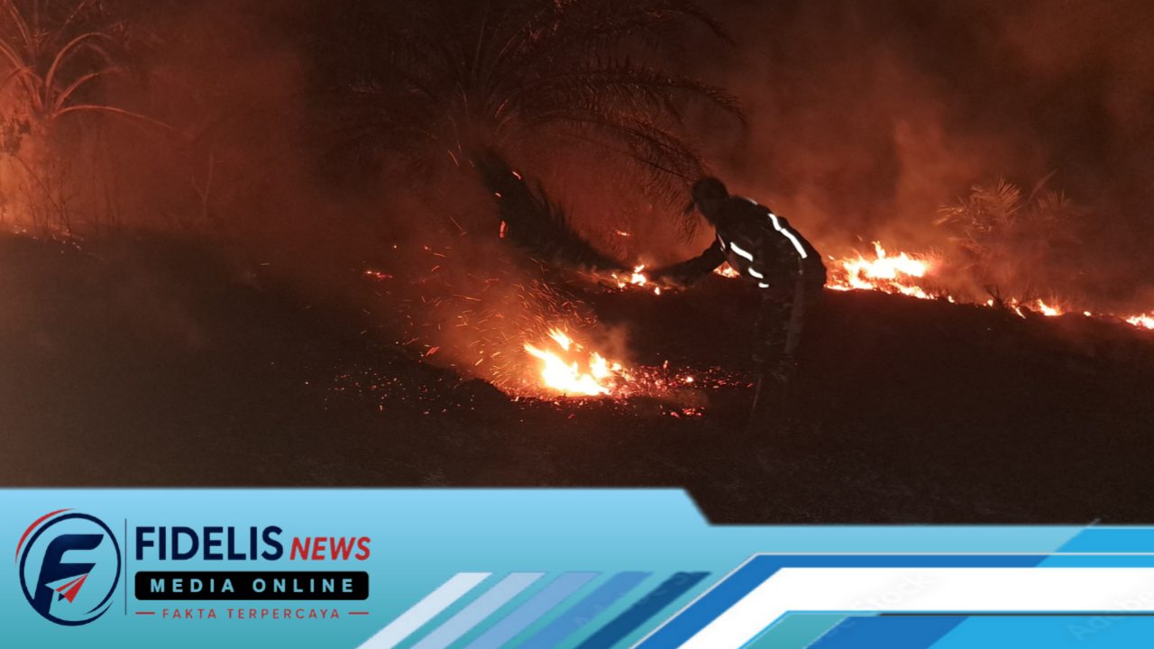 5 Hektare Kebun Sawit Terbakar, Satgas Karhutla Polman Bergerak Cepat Padamkan Kebakaran